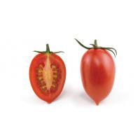 Pomodori Oblungo Rosso It 35-40 I^ Sf