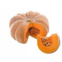 Zucca Ornamentale