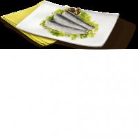 Filetto di Alici