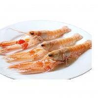 Scampi di Sicilia