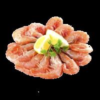 Scampi Freschi 
