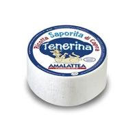 Ricotta Saporita di Capra Tenerina 