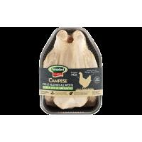 Busto di Pollo il Campese 