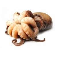 Moscardini Locali 