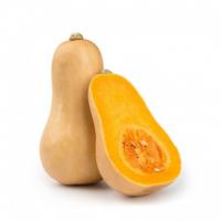 Zucca Violina