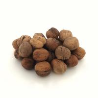 Noci Fresche 