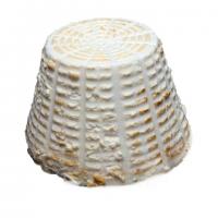 Ricotta Affumicata