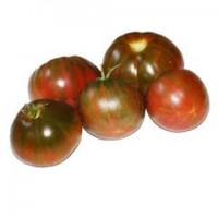 Pomodoro Tondo Striato