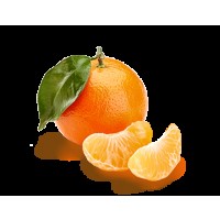 Clementine Foglia 