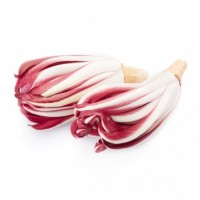 Radicchio di Treviso Tardivo Igp