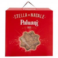 Stella di Natale