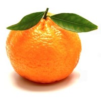 Mandarini