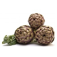 Carciofo Romanesco