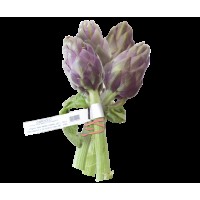 Carciofi Bouquet X3