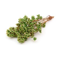 Origano Rametto