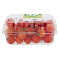 Qualità per Te Pomodoro Ciliegino