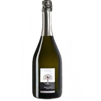 Prosecco Doc Treviso