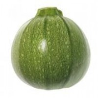 Zucchine Tonde