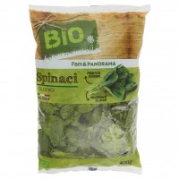 Spinaci Logici