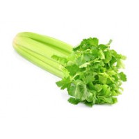 Sedano Verde