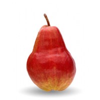 Pere Max Red B. Spagna 70-75