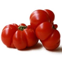Pomodori Costoluti