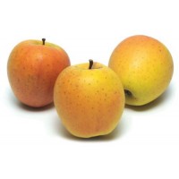 Bio Mele Goldrush