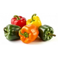 Peperoni Cuneo 