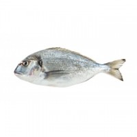 Orata 