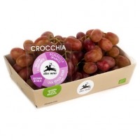 Uva Crocchia senza Semi
