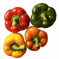 Peperoni Tomaticot
