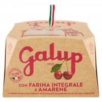 Panettone con Farina Integrale e Amarene