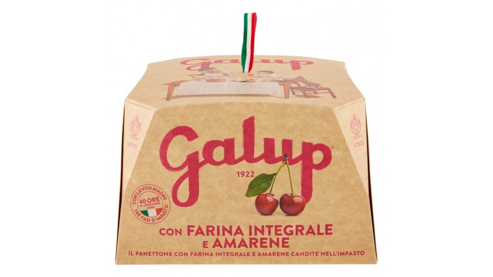 Panettone con Farina Integrale e Amarene