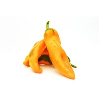 Peperoni Dolci Corno Giallo