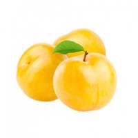 Susine Gialle Italia 45-55 I^ 