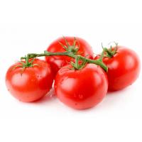 Pomodoro Tondo Sugo