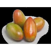 Pomodoro Oblungo