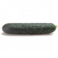 Cetriolo