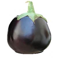 Melanzana Tonda