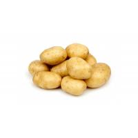Patate Novelle