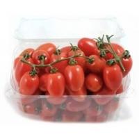 Pomodorino Pachino Igp