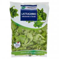 Lattughino Selezionato e Lavato