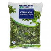 Valeriana Selezionata e Lavata
