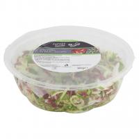 Fresche Bonta' Insalata Appetitosa con Radicchio Rosso e Porro