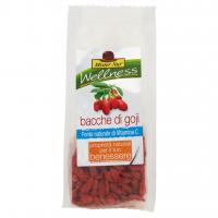 Wellness Bacche di Goji 80 g