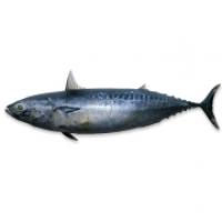 Tombarello