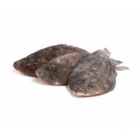 Sogliole Nostrane