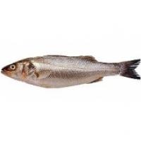 Branzino di Valle