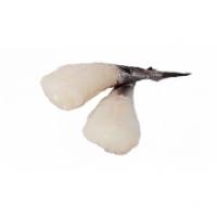 Coda Rana Pescatrice