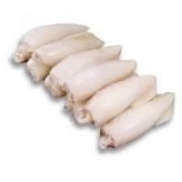Calamari Piccoli Freschi